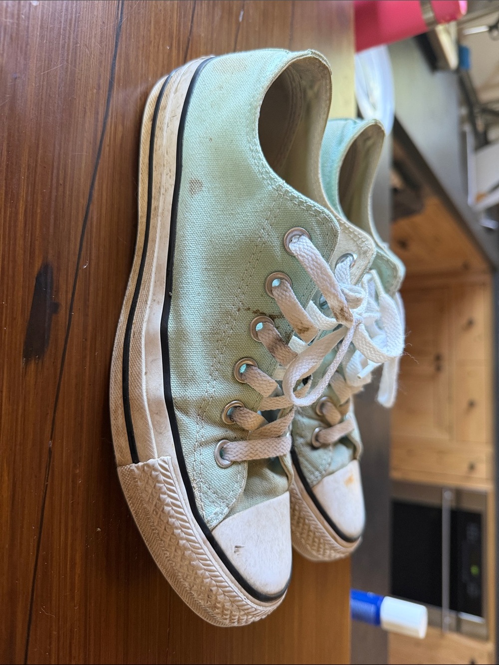 Women’s Low-Top Canvas Sneakers in Light Turquoise